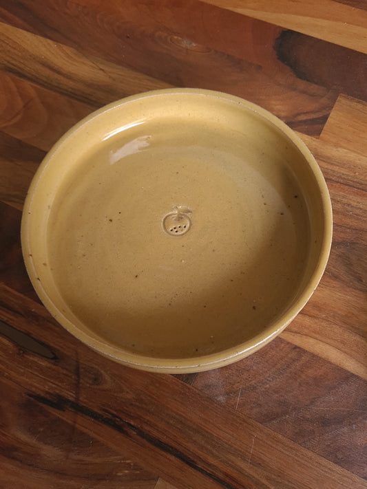 Straight rimmed citrus plate