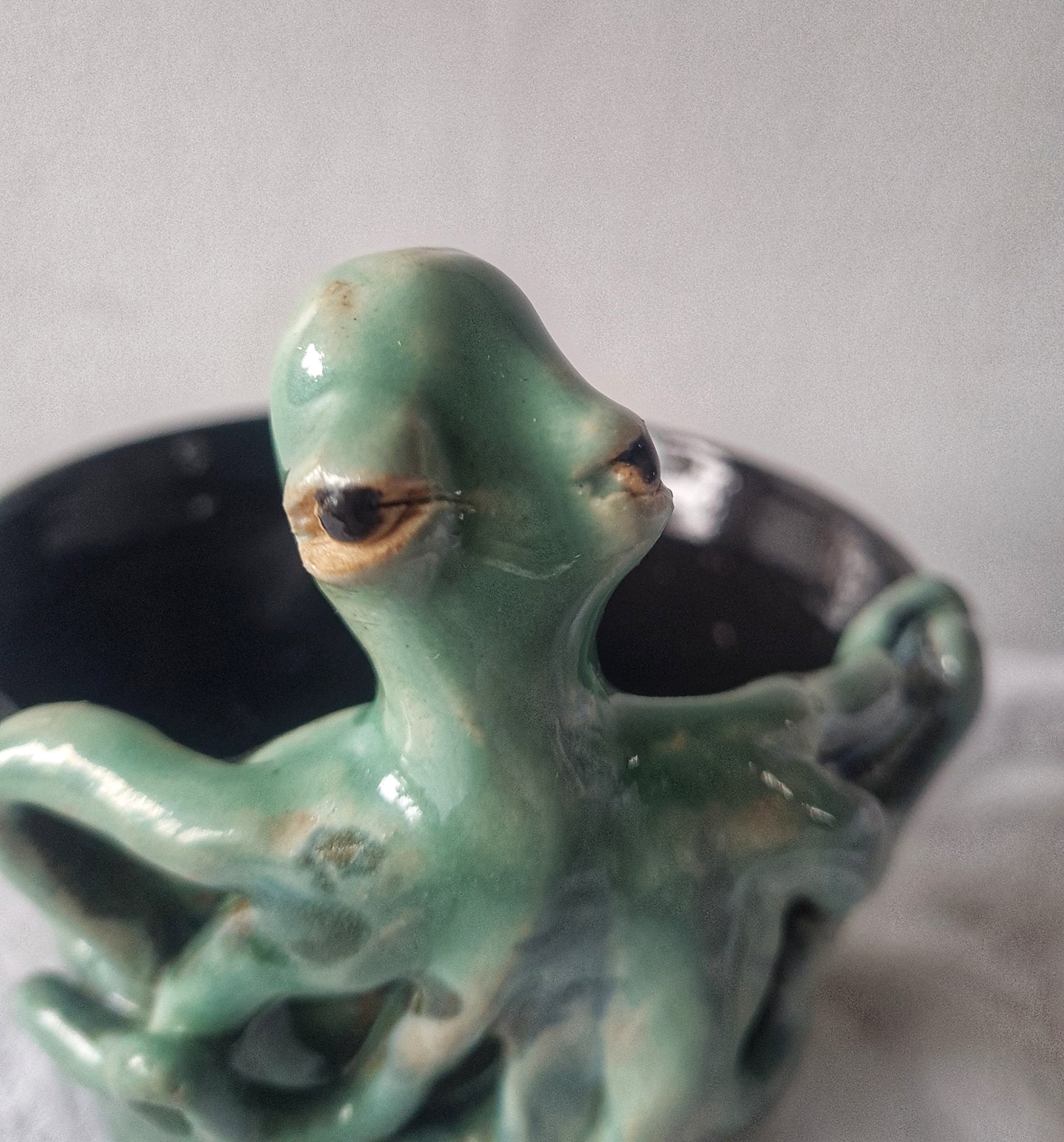 Octo pot